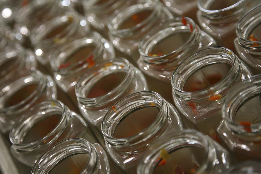 glass jars