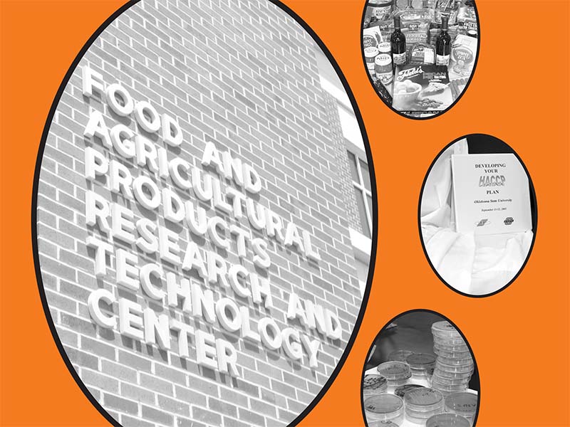 2003-annual-report