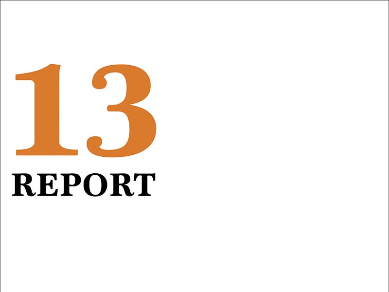 2013-annual-report